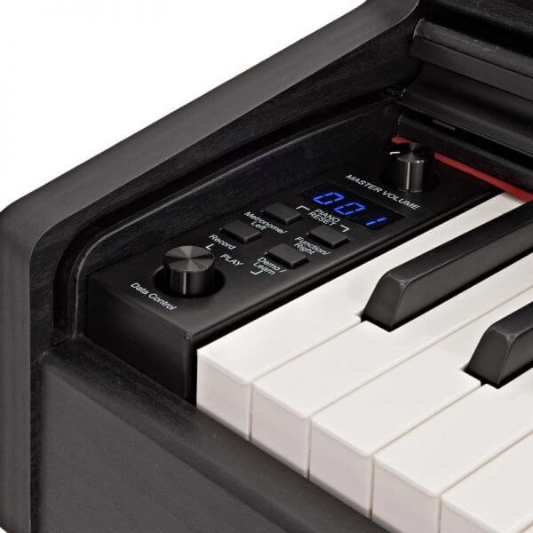 DP-10X Digital Piano - controls